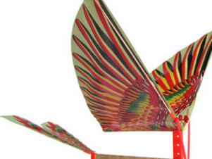 rubber powered plastic ornithopter